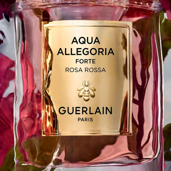 aqua-allegoria-rosa-rossa-forte
