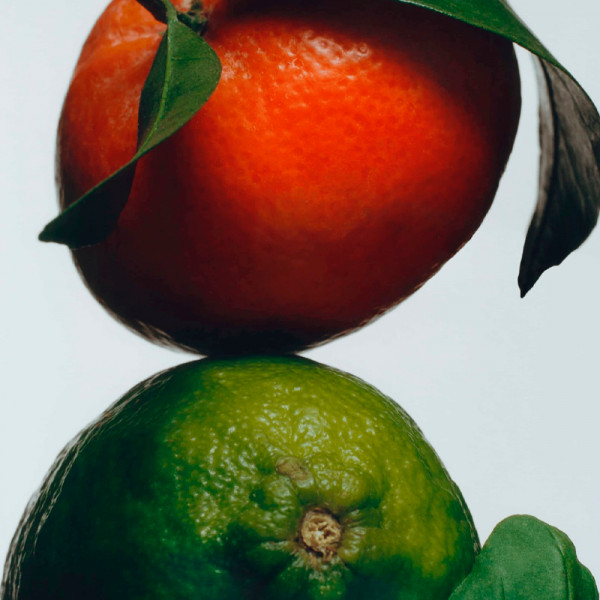 lime-basil-mandarin-cologne