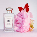 peony-blush-suede-cologne