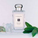wood-sage-sea-salt-cologne