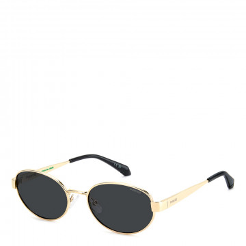 sunglasses-pld-6254-s-x