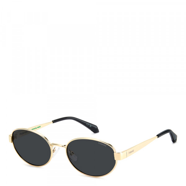 sonnenbrille-pld-6254-s-x
