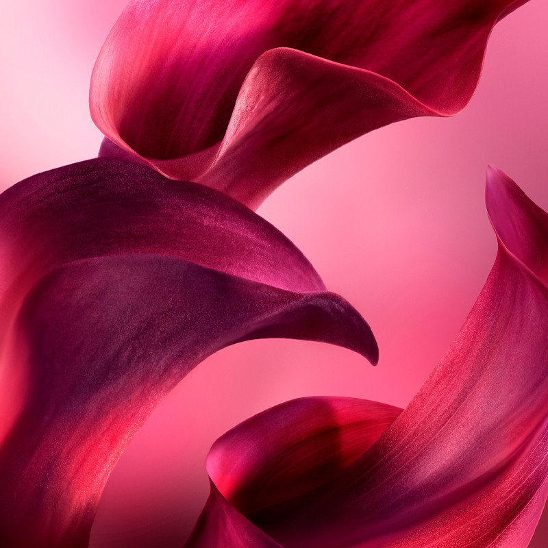 Lancôme La Vie Est Belle Elixir Eau de Parfum – imagen 2
