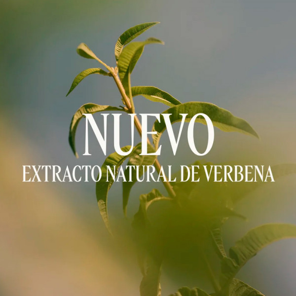verveine-parfum-duschgel-duschgel