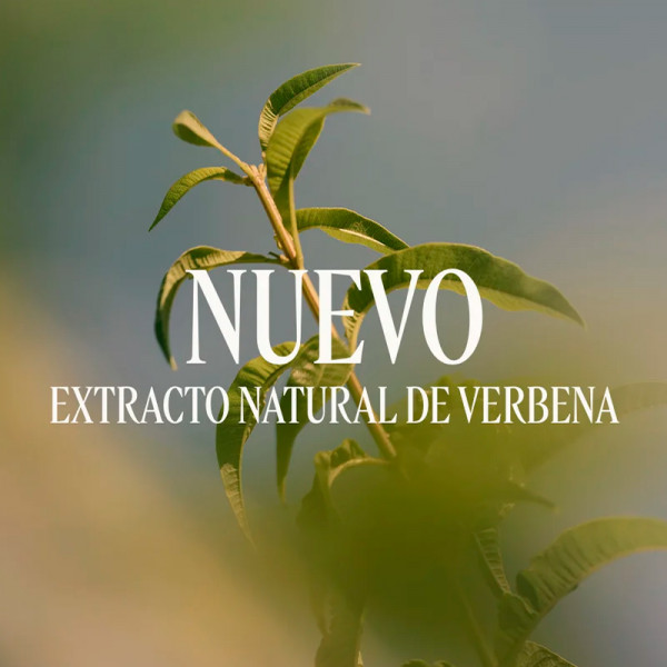 deodorant-baume-verveine-deodorant-balsam