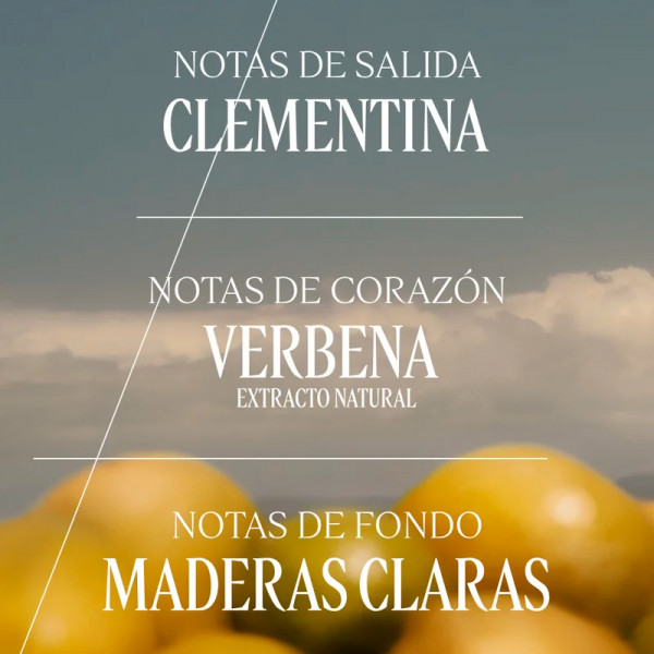verveine-agrumes