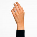 anello-angelico