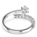 anello-a-matrice-aperta