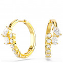 Mesmera hoop earrings