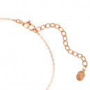 apenas-a-pulseira