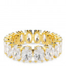 anillo-matrix