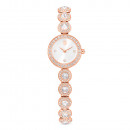 angelico-one-watch