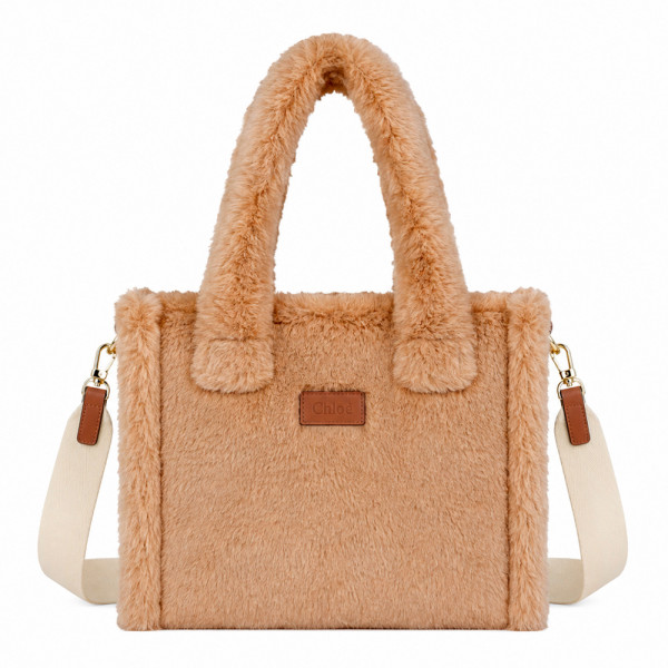chloe-tasche-c21323