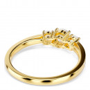 stilla-attract-anneau-rond