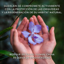 orchidee-imperiale-il-concentrato-di-longevita