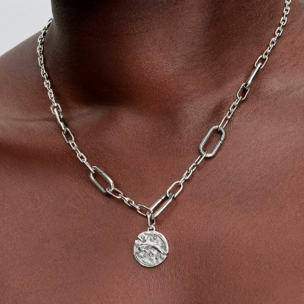 charm-medallon-delfin-794807c01