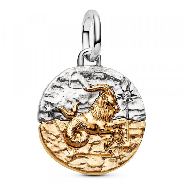 charm-medallon-zodiaco-capricornio-764987c01