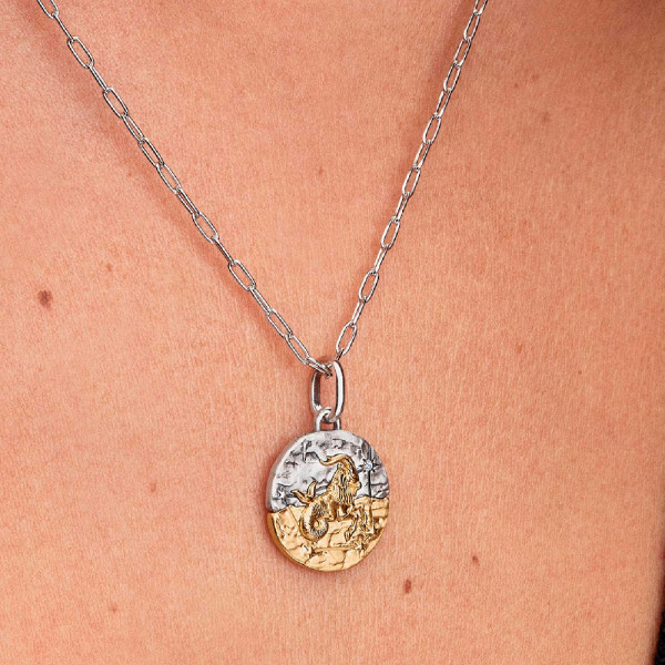 ciondolo-con-medaglione-del-segno-zodiacale-capricorno-764987c01