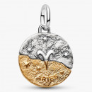 aries-zodiac-medallion-charm-764993c01