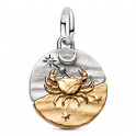 Pingente Medalh&atilde;o do Signo de C&acirc;ncer 764984C01