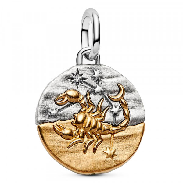 breloque-medaillon-du-zodiaque-scorpion-764985c01