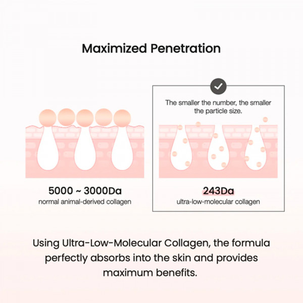 pore-perfecting-collagen-peptide-cream-creme-visage-nourrissante-correctrice-de-pores
