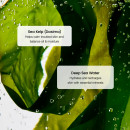 refreshing-sea-kelp-serum-facial-serum-for-shine-and-sebum-control