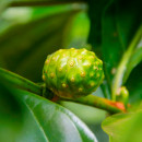 the-real-noni-energy-repair-cream-crema-facial-reparadora-revitalizante