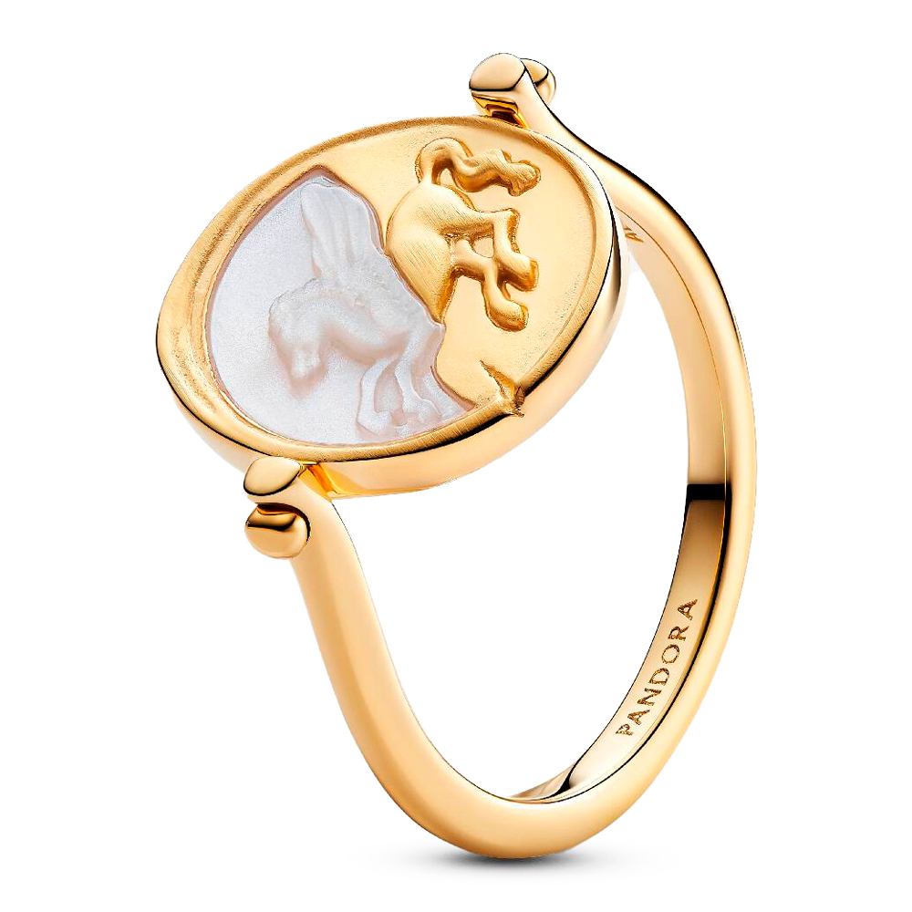Pandora Anillo Medallón Reversible Pegaso 164812C01
