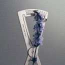 iris-debonair-eau-de-parfum