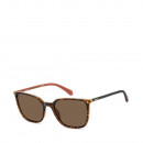 sunglasses-pld-4209-s-x