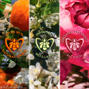 aqua-allegoria-herba-fresca