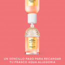 aqua-allegoria-forte-rosa-palissandro