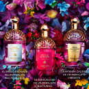 aqua-allegoria-florabloom
