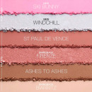 apres-ski-cheek-eye-palette-ojenskygge-og-kindblush-palette