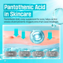 no1-pantothenic-b5-active-soothing-serum-beruhigendes-und-talgregulierendes-gesichtsserum