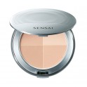 Cellular Performance Pressed Powder