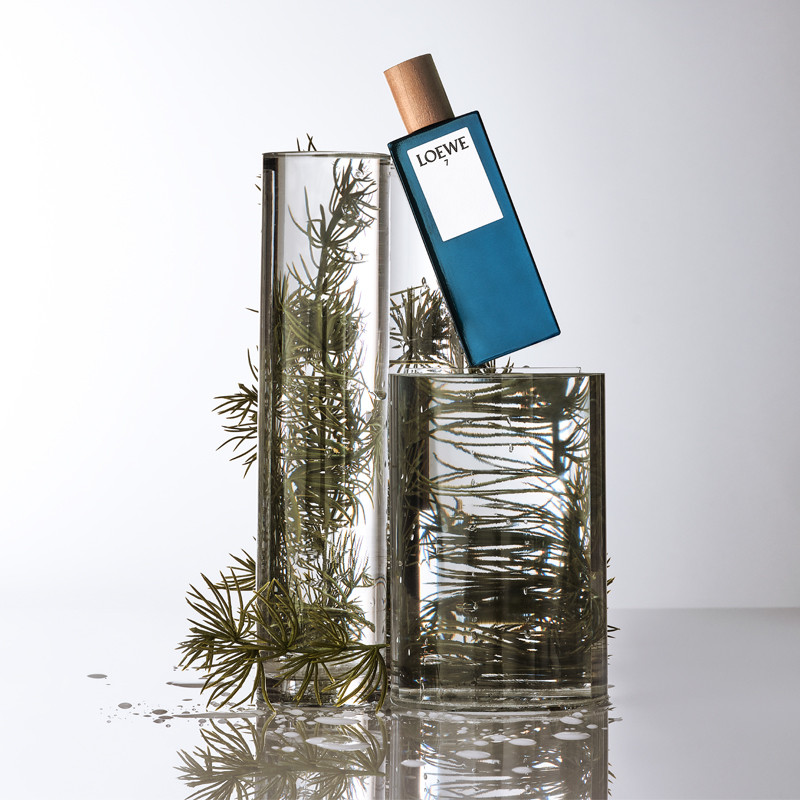 7 - Loewe - Sabina