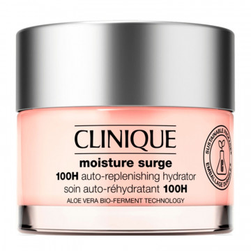 Moisture Surge 100h självåterfyllande återfuktare