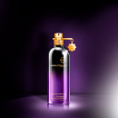 Oud Pashmina