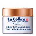 Matrix R3 - Cellular Rich Matrix Cream