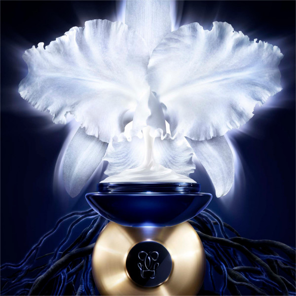 ORCHIDÉE IMPÉRIALE DEN LETTE CREME