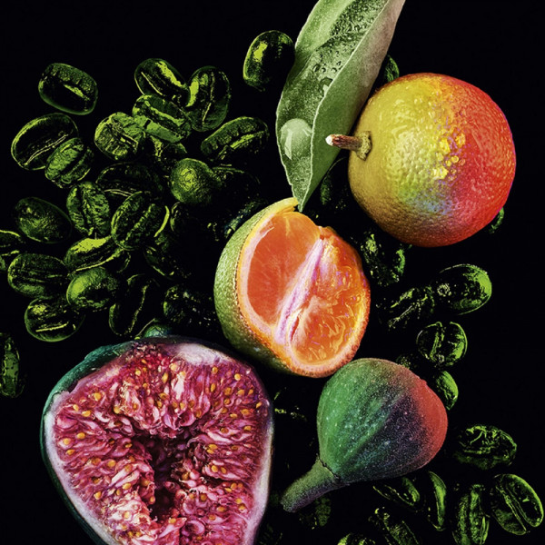 Black Opium Illicit Green