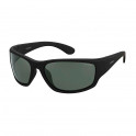 Gafas de Sol PLD 7005/S YYV RC