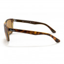 RB4181 710/83 Light Havana Polar Brown