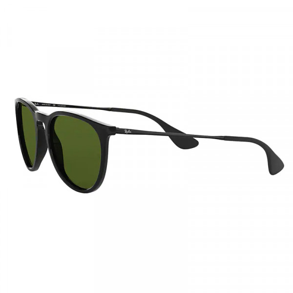 RB4171 601/2p Erika Black Polar Green