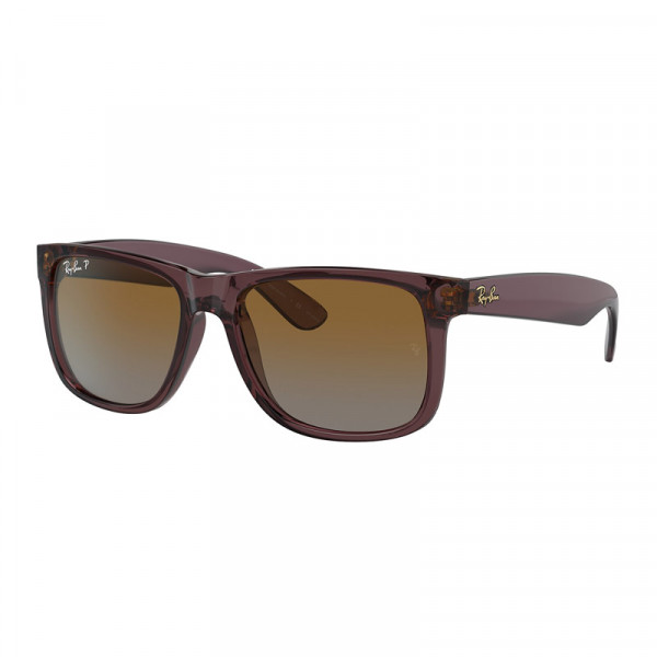 RB4165 6597T5 T55 Justin Polarized