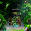 oud-for-happiness