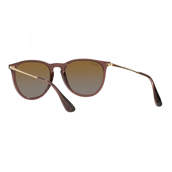 RB4171 6593T5 54 Erika Dark Brown