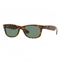 Rb2132 new wayfarer 902l tortoise crystal green
